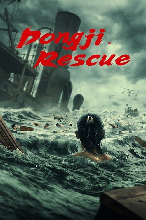 Poster de Dongji Rescue
