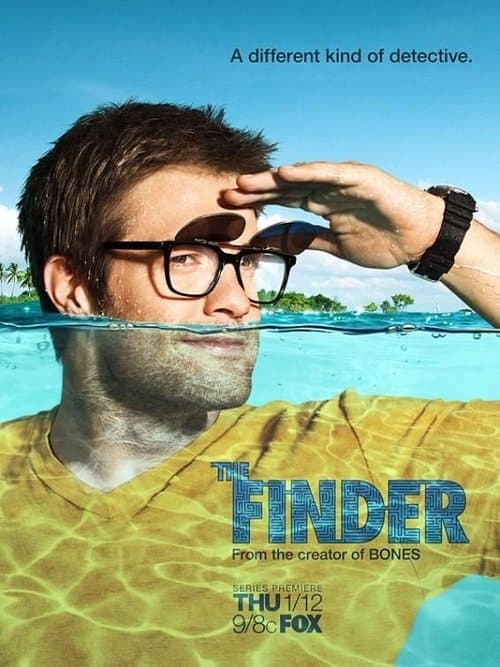 Poster de The Finder