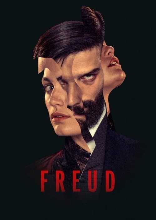 Poster de Freud