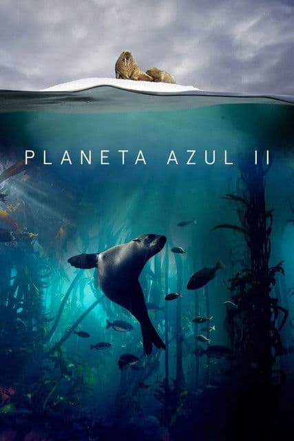 Poster de Planeta Azul II