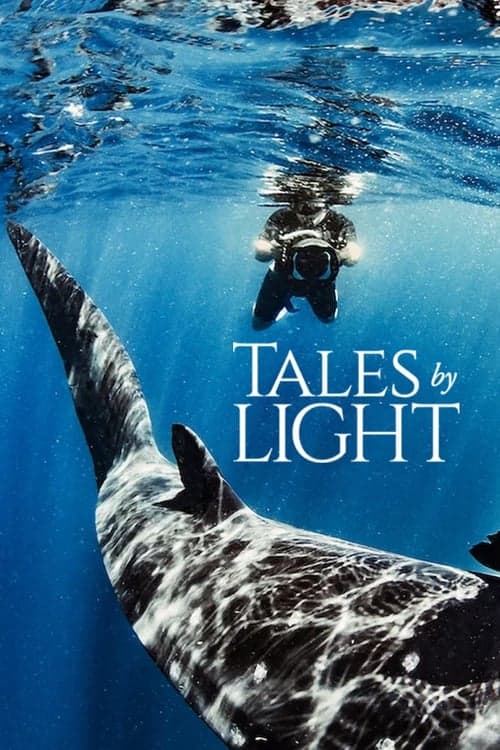 Poster de Tales by Light